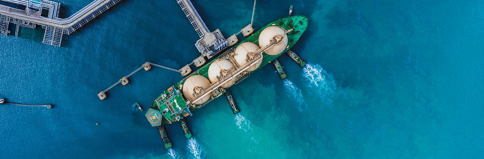 lfg case study scimemi